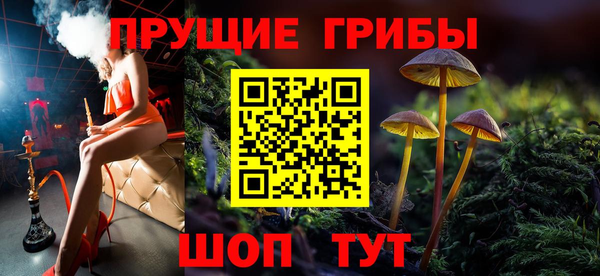 Галлюциногенные грибы прущие грибы Северск